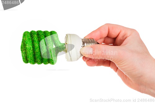 Image of Concept Eco light bulb