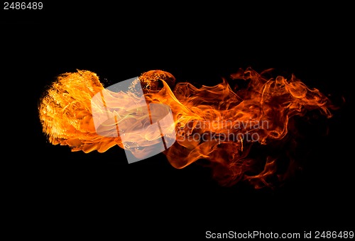 Image of Fire