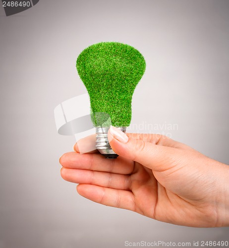 Image of Concept Eco light bulb