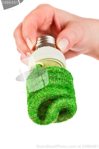 Image of Concept Eco light bulb