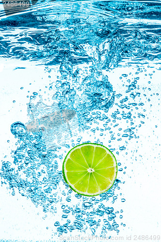 Image of Green lime in the Water.