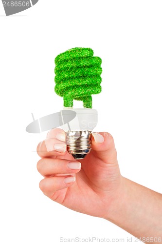 Image of Concept Eco light bulb