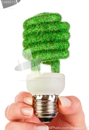 Image of Concept Eco light bulb