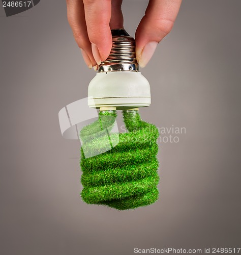 Image of Concept Eco light bulb