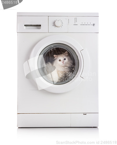 Image of washing machine and cat