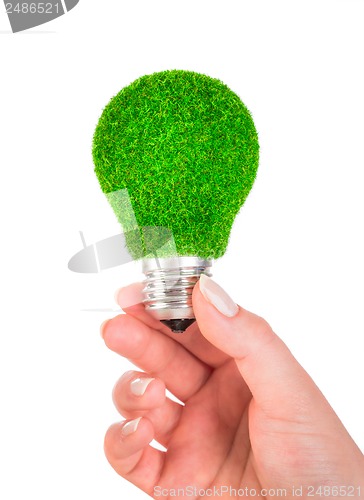 Image of Concept Eco light bulb