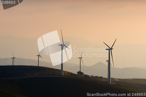 Image of Wind Turbine Farm