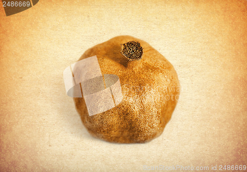 Image of Vintage pomegranate