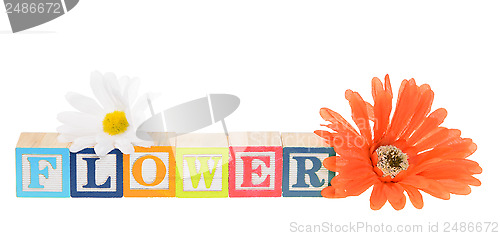 Image of Letter blocks spelling flower with artificial flowers