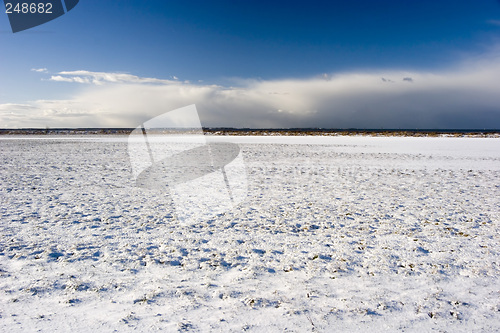 Image of Snow Field