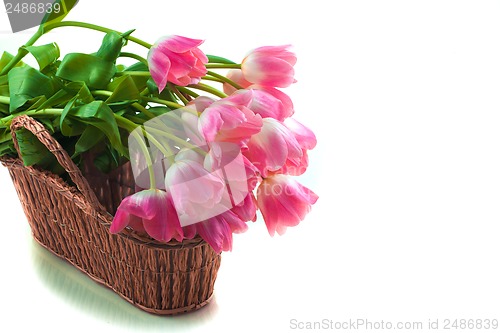 Image of Bright flowers in basket