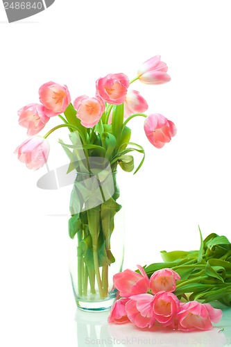 Image of Beautiful tulips in glass vase