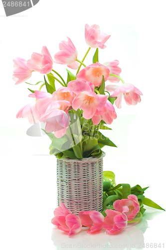 Image of Beautiful tulips in basket