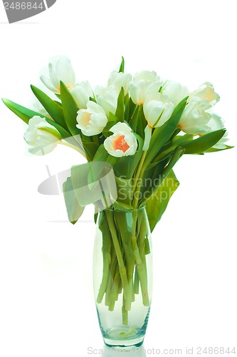 Image of Beautiful tulips in glass vase