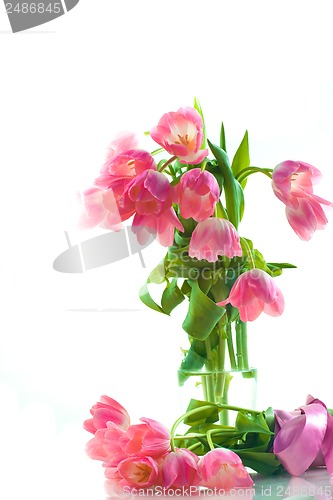 Image of Beautiful tulips in glass vase