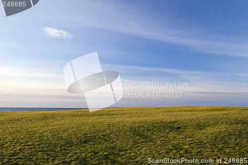 Image of Green Field