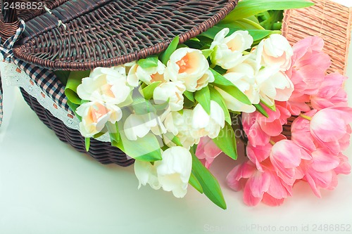 Image of Beautiful tulips in basket