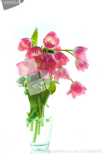 Image of Beautiful tulips in glass vase