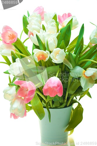 Image of Beautiful tulips in pot