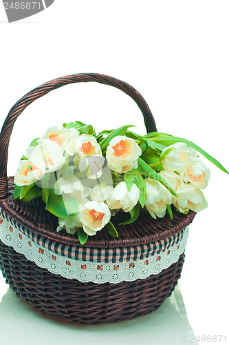Image of Beautiful tulips in basket