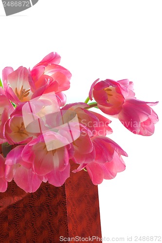 Image of Bouquet of tulips in gift package