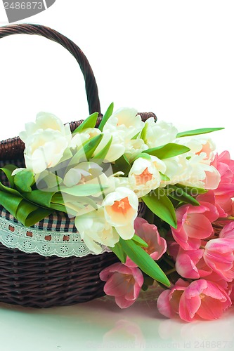 Image of Beautiful tulips in basket