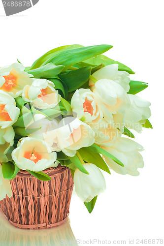 Image of Beautiful tulips in basket