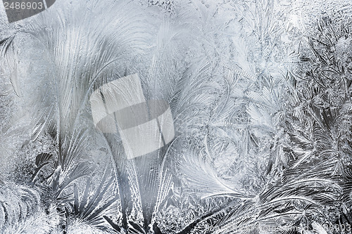 Image of Ice Patterns On A Winter Window