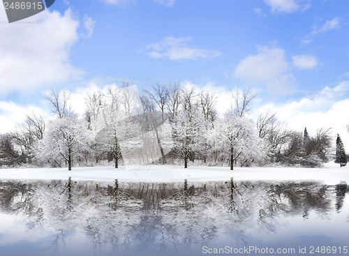 Image of Winter Landscape