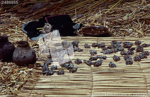 Image of Lake Titicaca