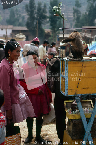 Image of Market