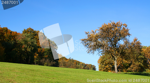 Image of rural autumn scenery