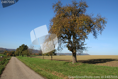 Image of autumn scenery