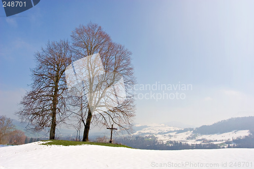 Image of Two trees and a cross