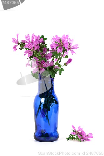 Image of wild violet flowers in blue bottle 