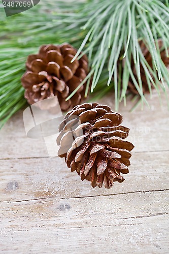 Image of christmas fir tree with pinecones