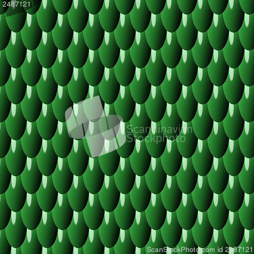 Image of Green Squama Pattern