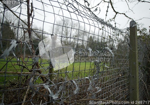 Image of Barbed Wire