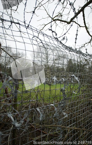 Image of Barbed Wire