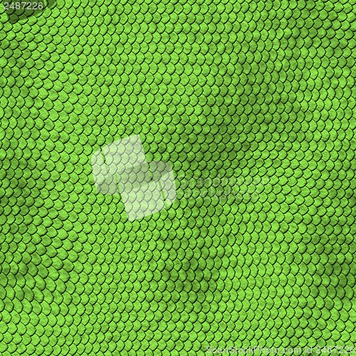 Image of Green python snake skin texture background.