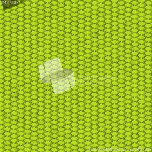 Image of abstract green harlequin argyle seamless pattern