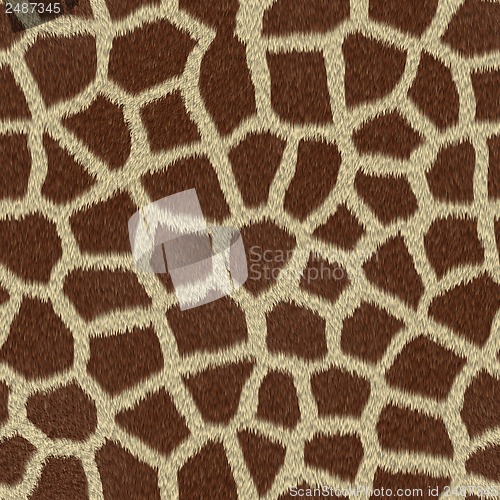 Image of Giraffe skin print