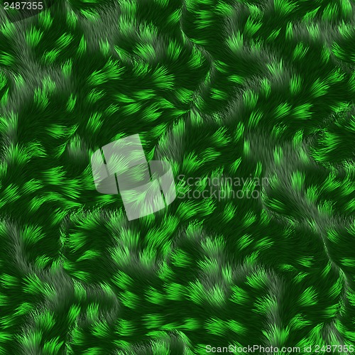 Image of green coat, fur texture to background