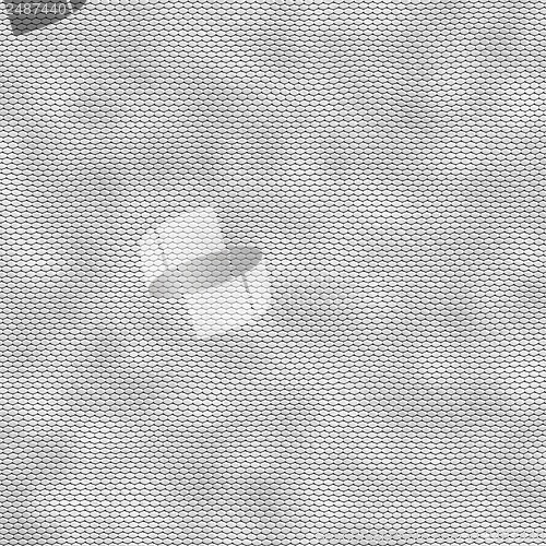 Image of white leather background snake