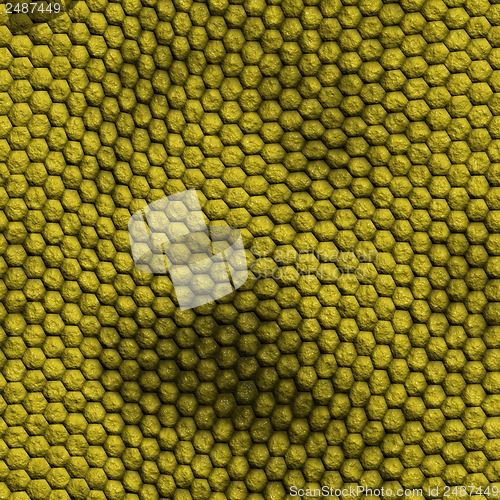 Image of snake skin with the pattern lozenge style