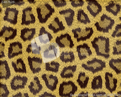 Image of Texture of a short sand color leopard fur