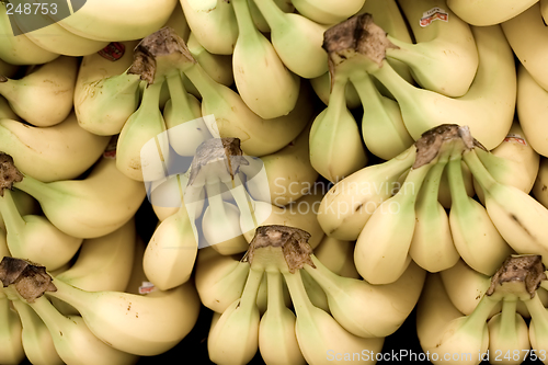 Image of bunches of bananas