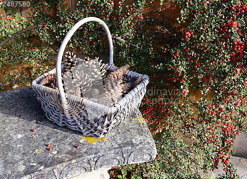 Image of Pine cones in a rustic basket with red berries