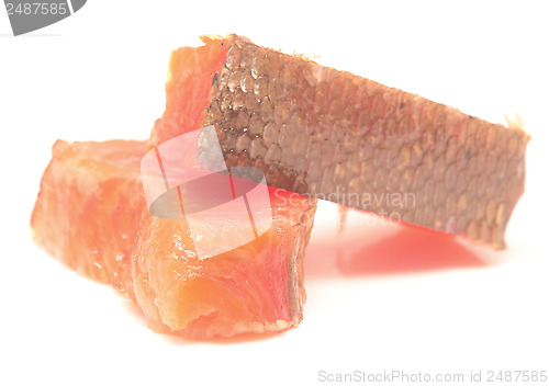 Image of red fish
