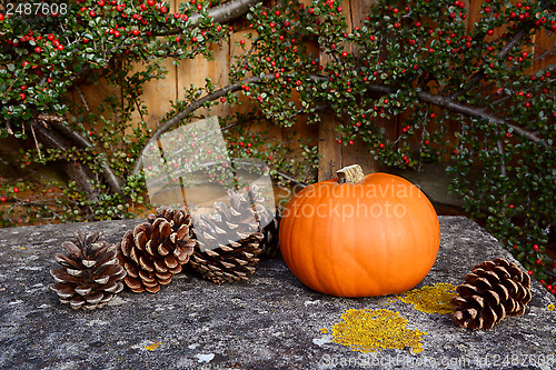 Image of Small pumpkin and fir cones on a stone bench